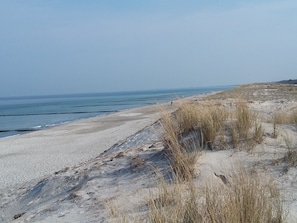A sandy beach with dunes and a clear sky. - *Vacation Rental 62 OG / Niermann - GM 69609 - *Vacation Rental 62 OG / Niermann SNR (Gelbensande)