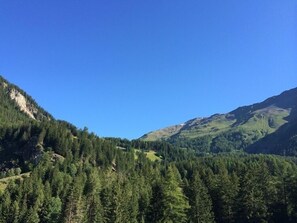 Eine gebirgige Landschaft mit dichten Wäldern und blauem Himmel.