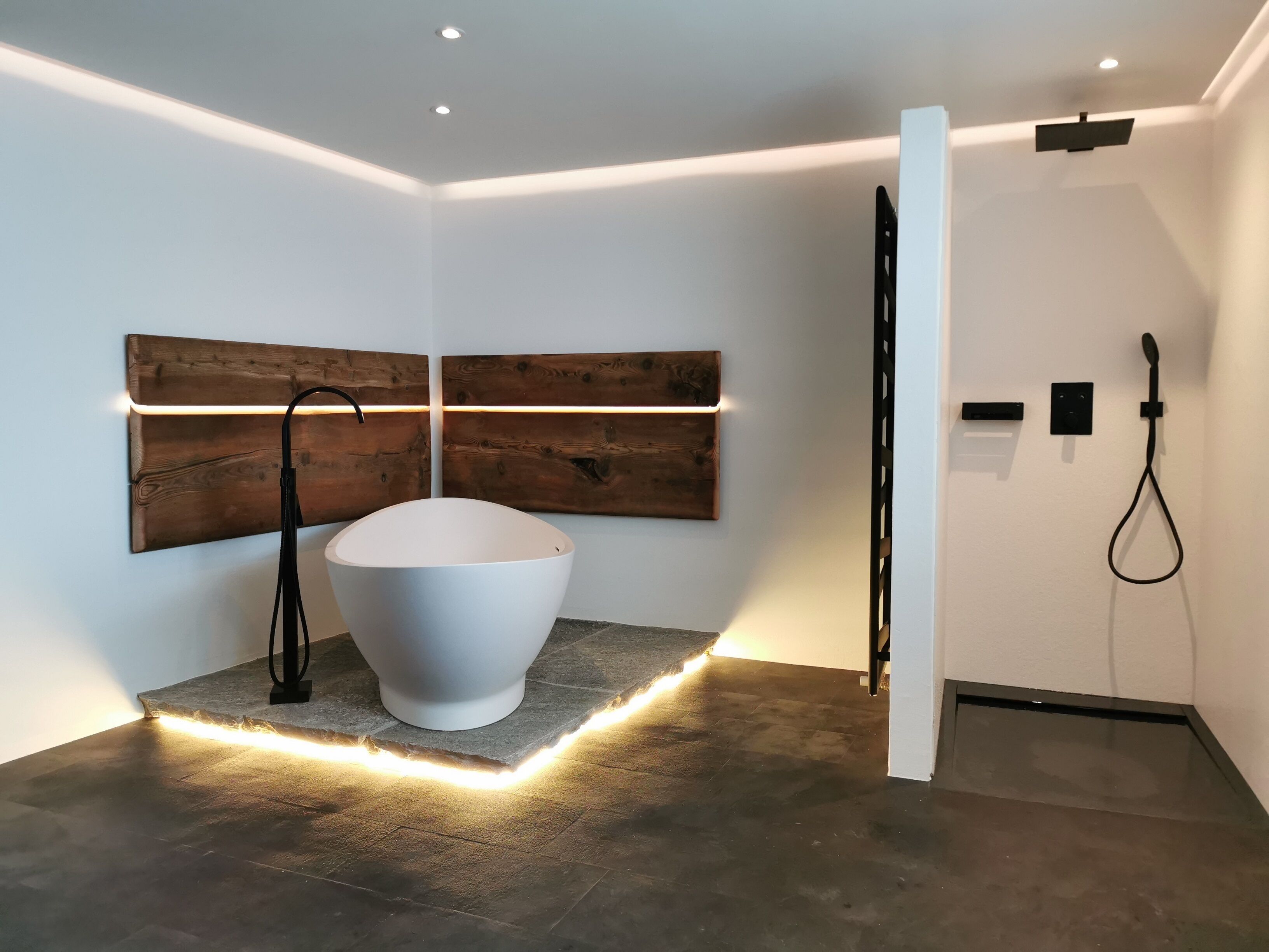 Bathtub, hair dryer, towels, toilet paper