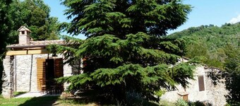 beautiful accommodation in a quiet location and with a huge garden, M2