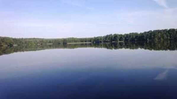 Un lago tranquilo con una orilla boscosa.