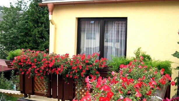 A yellow house with a window and a wooden fence. - Holidayflat with balcony, seperate entrance, near Thuringian Forest (Floh- Seligenthal)