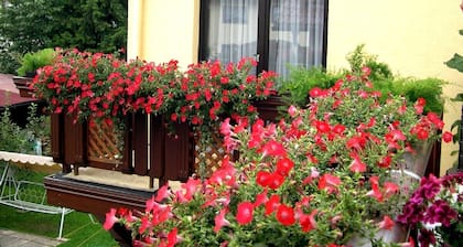 Apartamento con balcón, cerca del bosque de Turingia (Oberhof)