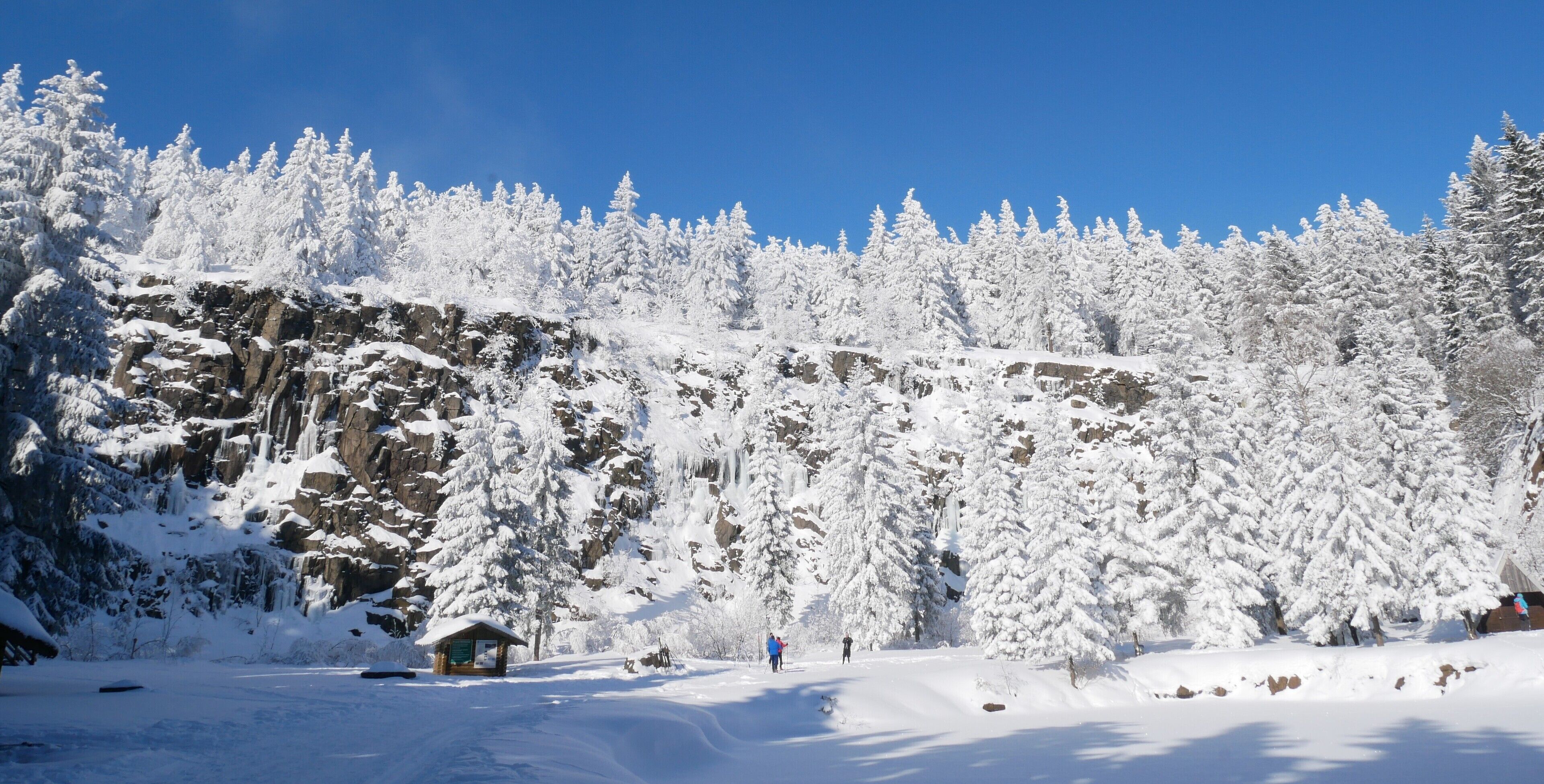 Sne- og skisport