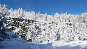 A snowy mountain landscape with a cabin and a clear blue sky. - Holidayflat with balcony, seperate entrance, near Thuringian Forest (Floh- Seligenthal)
