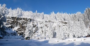 Snow and ski sports - Holidayflat with balcony, seperate entrance, near Thuringian Forest (Floh- Seligenthal)