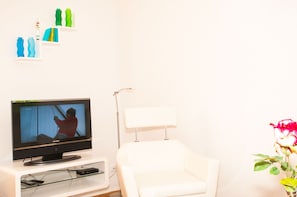 Televisión, reproductor de DVD, libros
