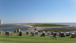 Vista costera con zona verde, playa y una masa de agua.