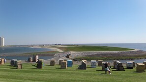 Plage, chaises longues