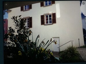 A white building with brown shutters, a door, and a small garden area with plants and a yellow flower. - HAARDTER WINZER (Whg. 8) renovated and lovingly decorated "Pfalzcard-Partner" (Neustadt an der Weinstraße)