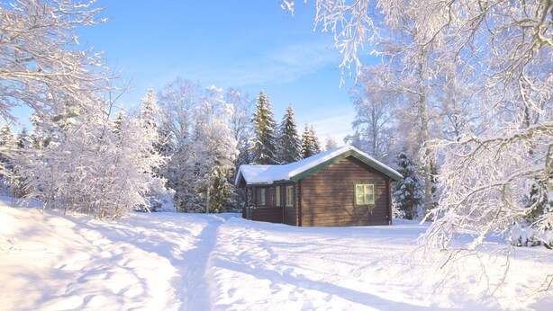 A wooden cabin surrounded by snow-covered trees. - BEAUTYFULL COTTAGE WITH MOTORBOAT and CANOE (Säffle)