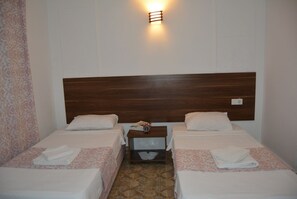 Habitación estándar con 2 camas individuales | Vista desde la habitación
