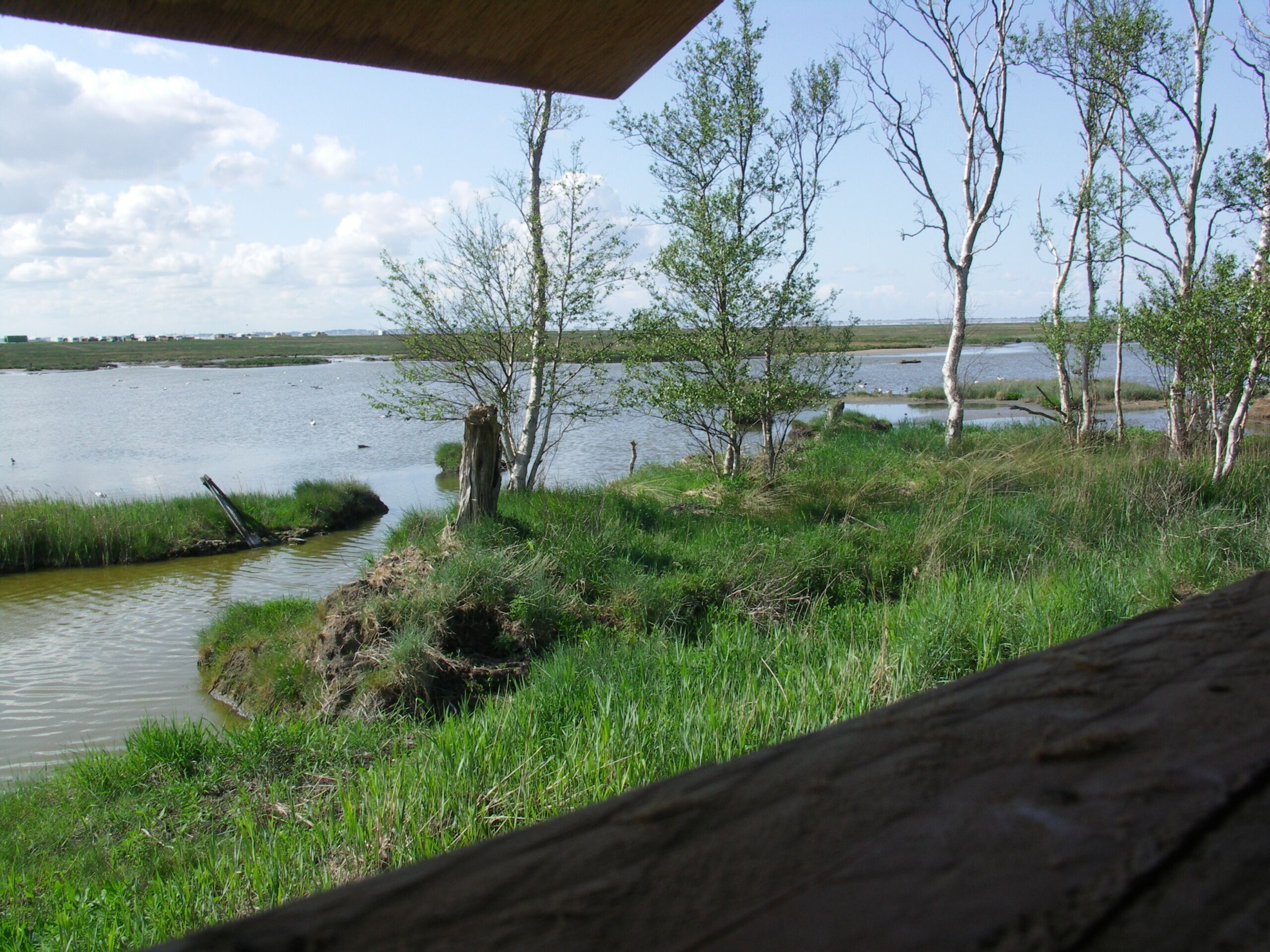 Blick aus der Vogelbeobachtungshütte