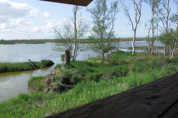 Blick aus der Vogelbeobachtungshütte