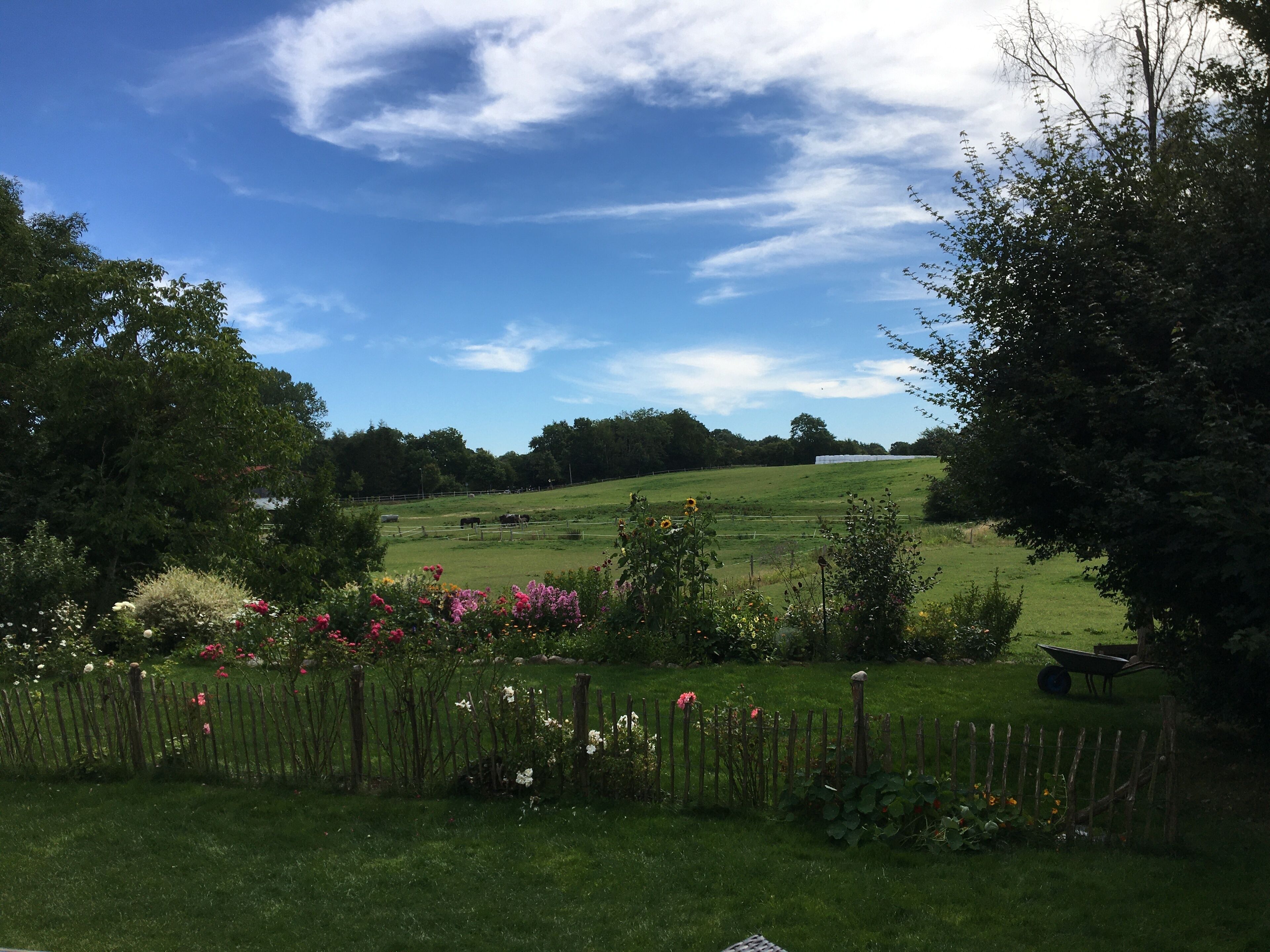 Garten