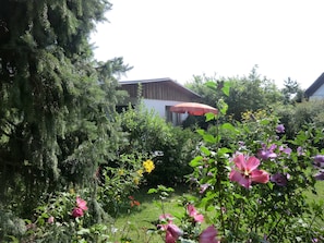 Terrain de l’hébergement 