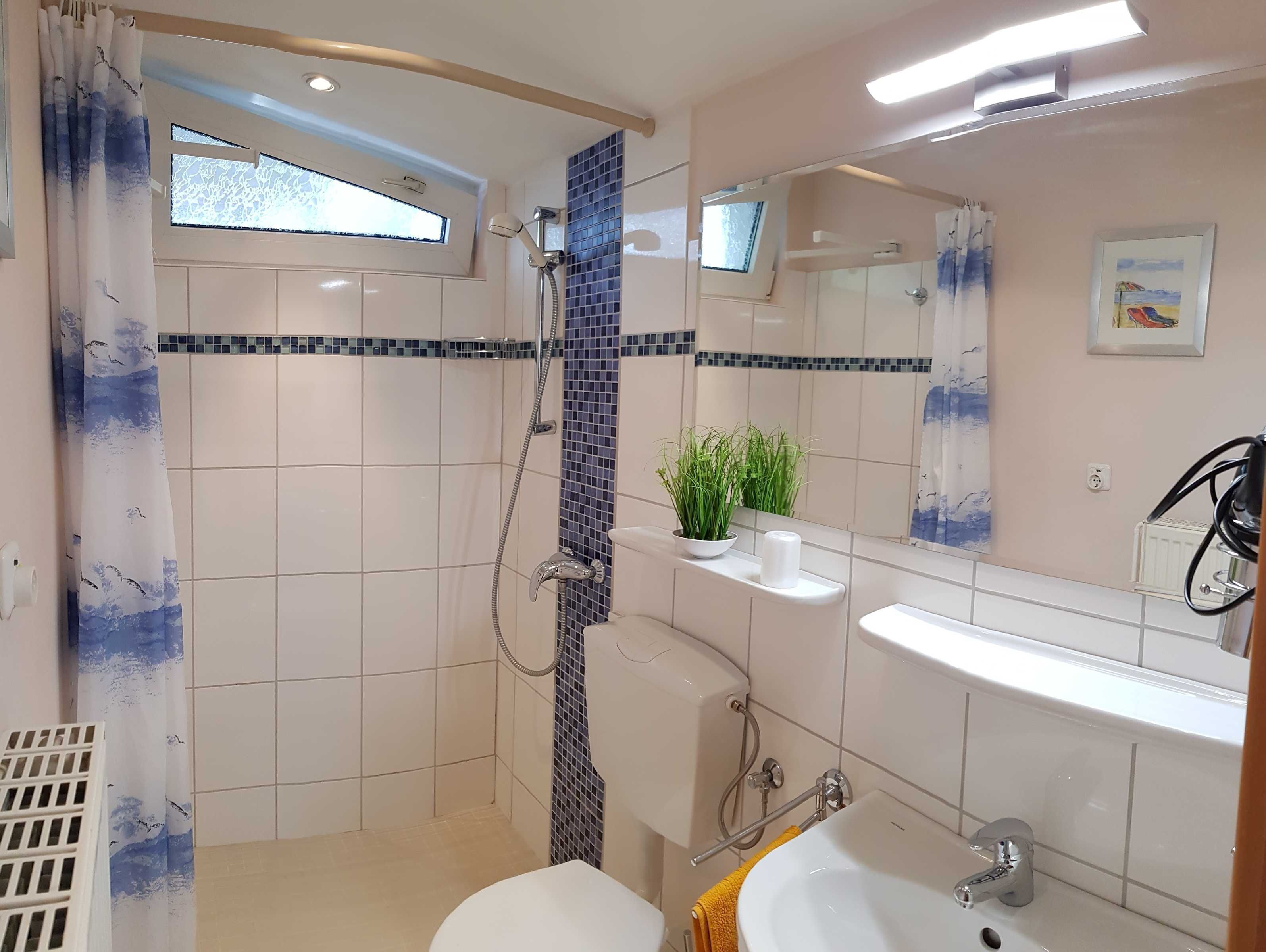 Dusche, Haartrockner, Seife, Toilettenpapier