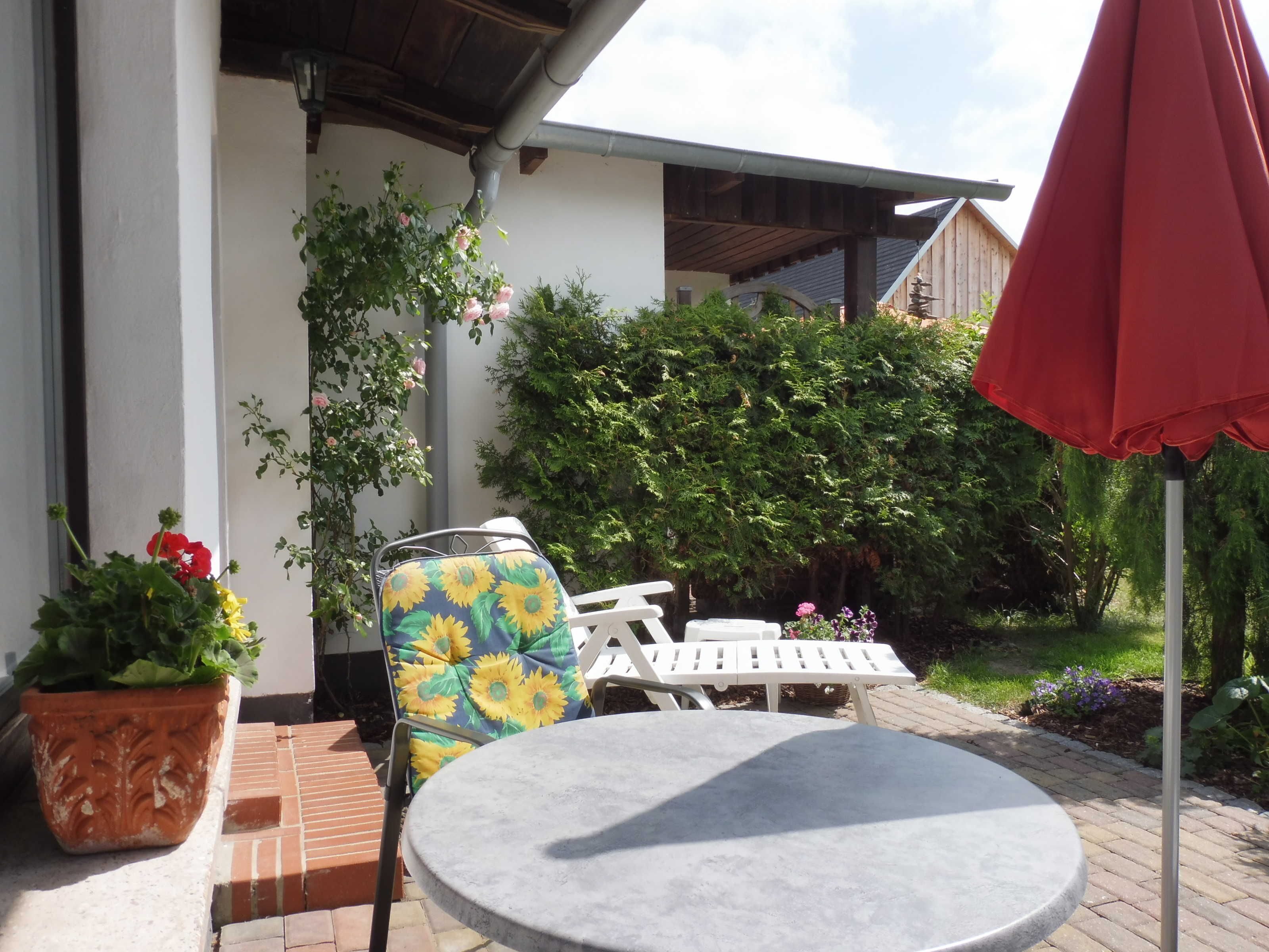 Terraza o patio