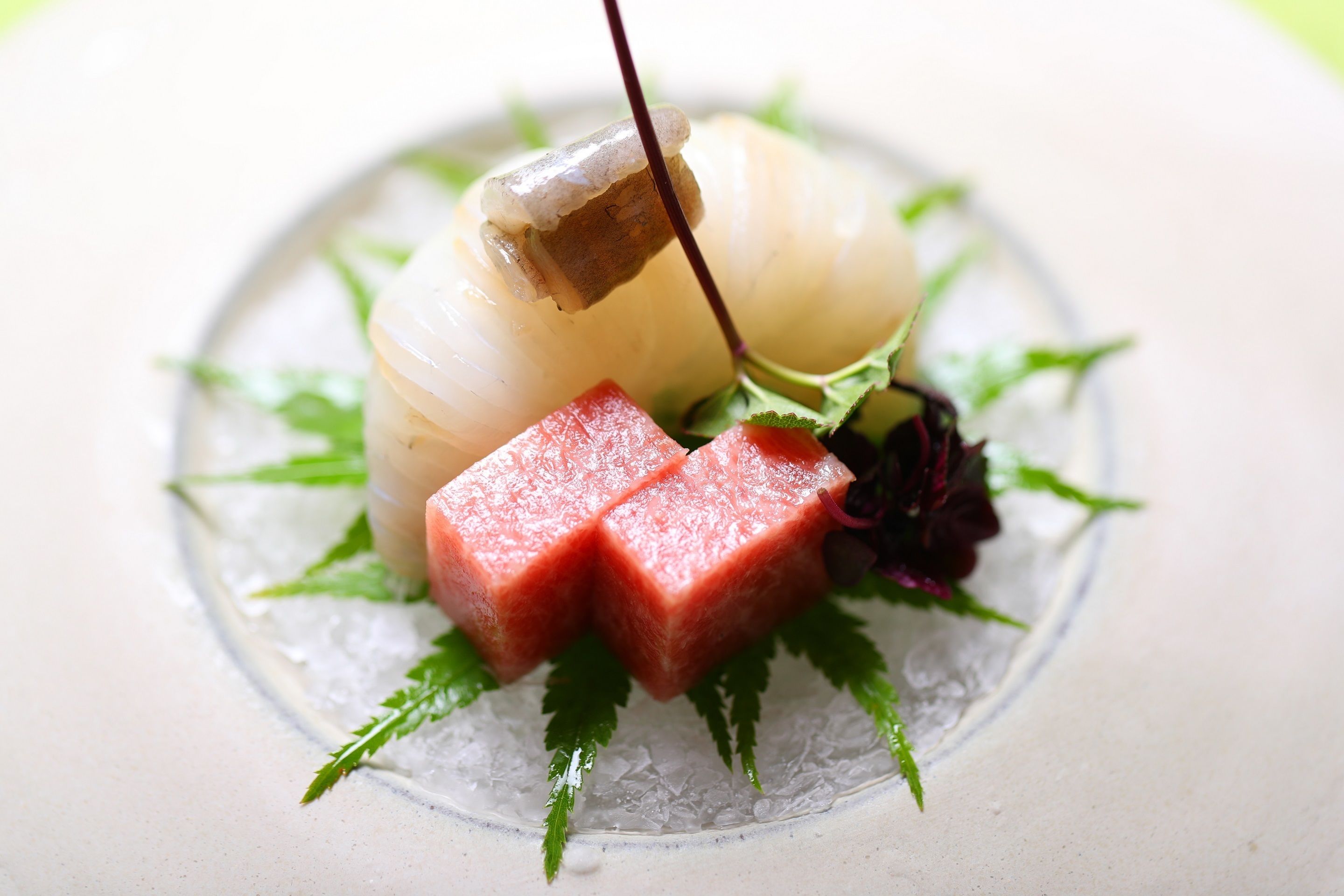 Un plato con líquido transparente siendo servido, adornado con hojas verdes y un elemento rojo.