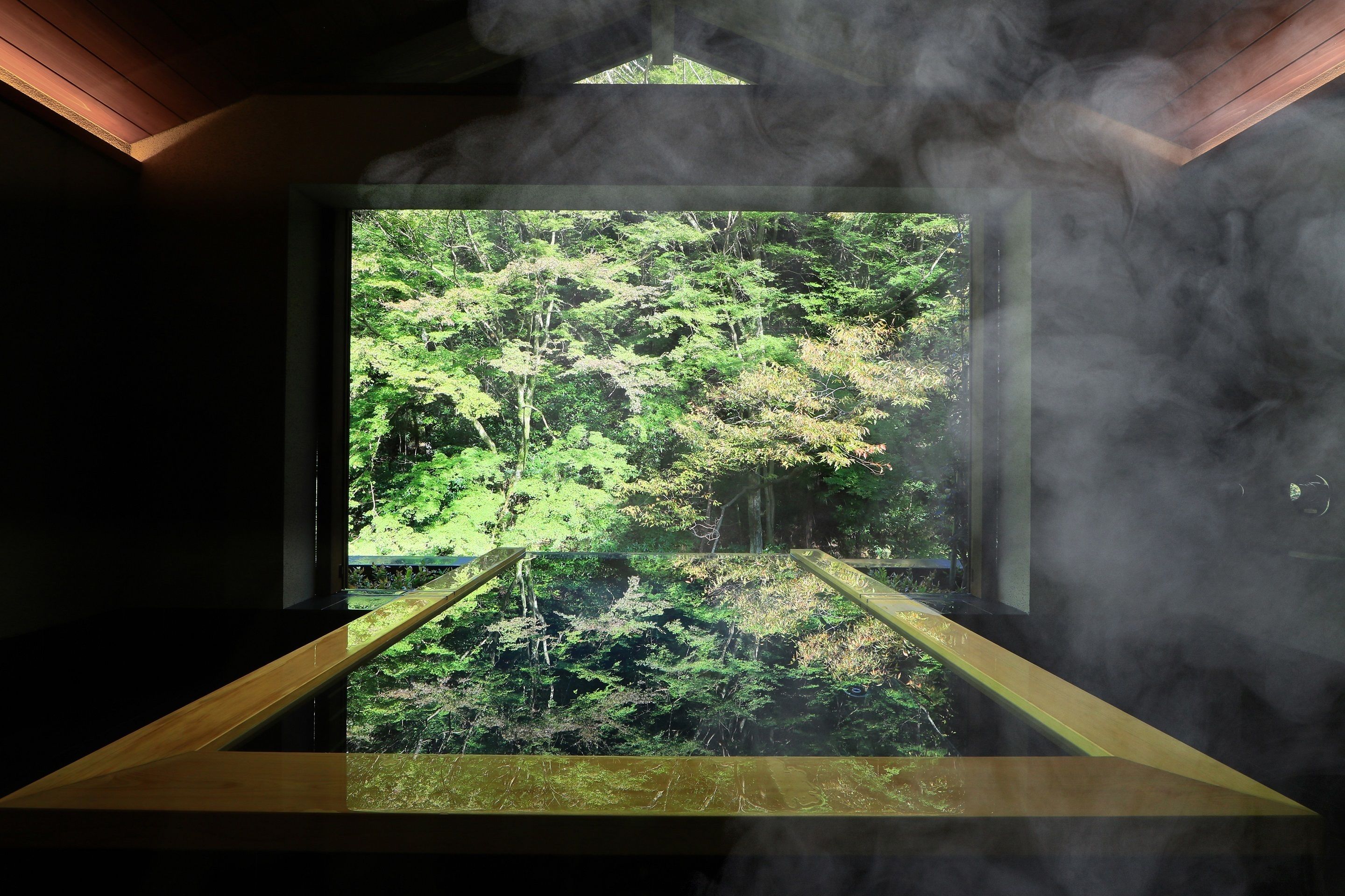 A room with a large window overlooking a forested area, with smoke visible inside.