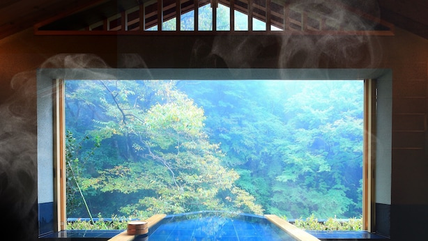A hot tub with a view of a forest.