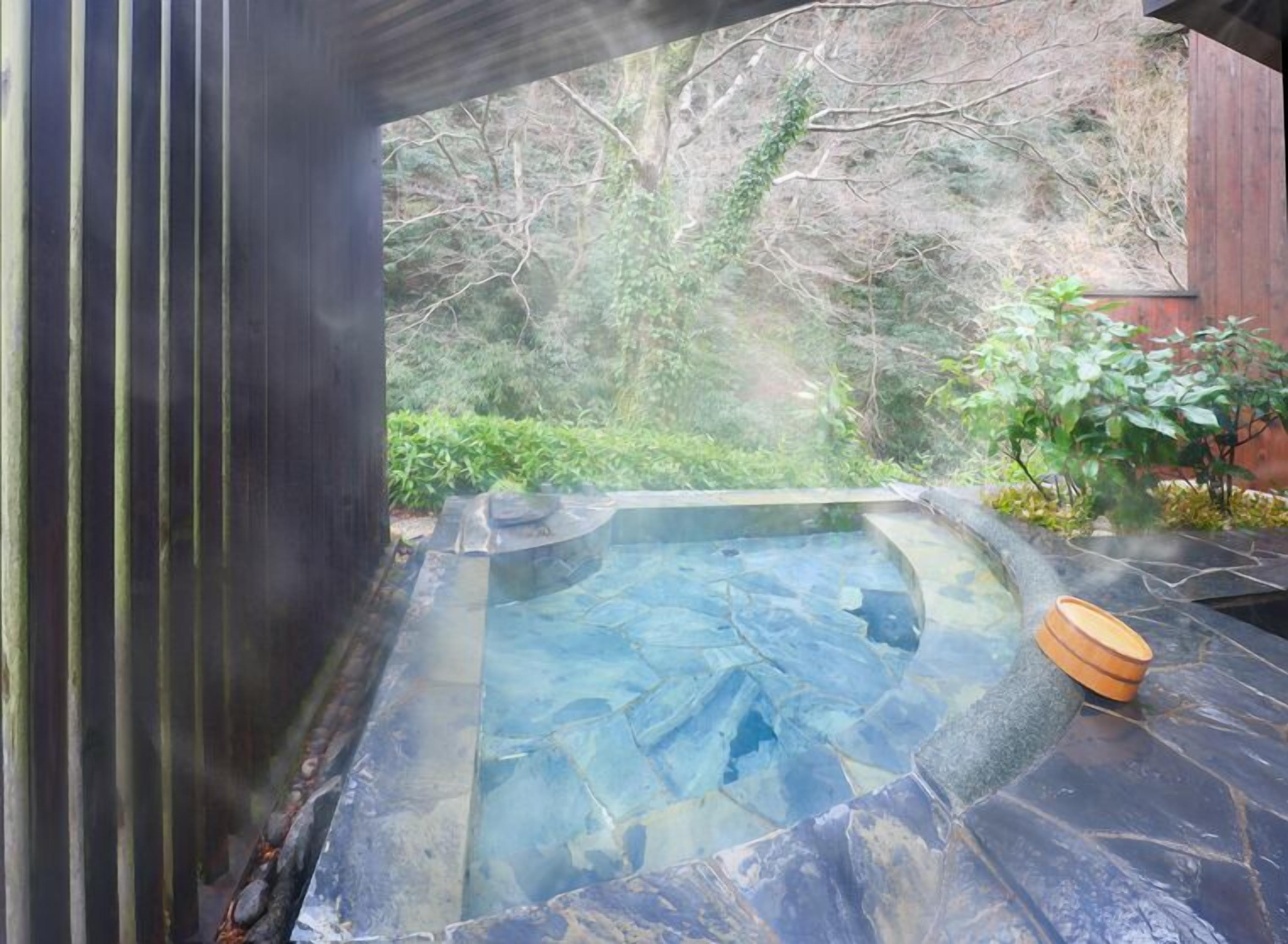 A hot tub with a stone surround, surrounded by greenery and a wooden structure.
