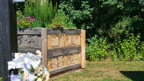 Un lliter de jardí elevat de fusta amb una malla superior, envoltat d'una zona verda i diverses plantes.
