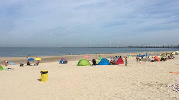 Ranta lÀhistöllÀ, aurinkotuoleja