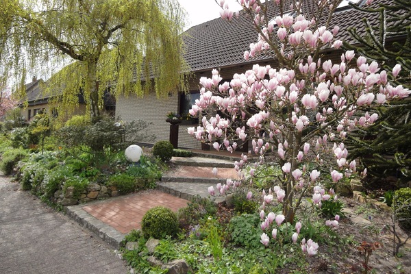 Frühling in Bad Zwischenahn