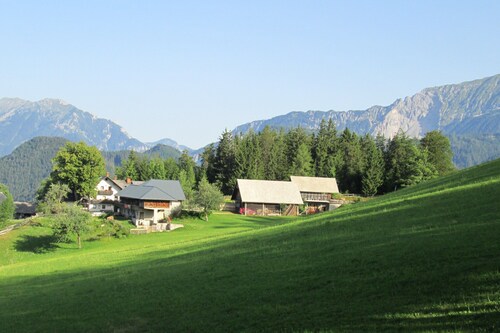 Vacation apartment - mountain farm "Pr Tic" 1050m. Nature, peace, air! 25 km from Bled