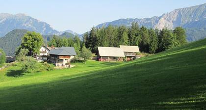 Vacation apartment - mountain farm "Pr Tic" 1050m. Nature, peace, air! 25 km from Bled