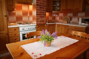 Fridge, oven, stovetop, electric kettle