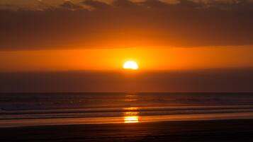 Tumbonas y toallas de playa