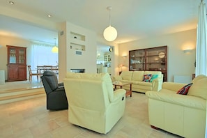 TV, fireplace, video games, DVD player