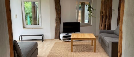 Fernseher, DVD-Player, Bücher