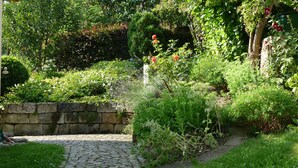 Un jardí amb una paret de pedra, un camí empedrat i diverses plantes i flors.