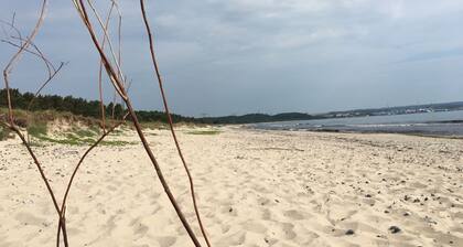 vollausgestattetes gemütliches Innenstadt Ferienhaus Monima