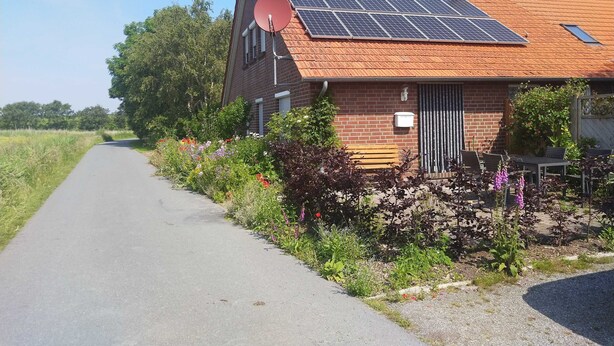 Een huis met een schuin dak, zonnepanelen, een schotelantenne en een tuin met diverse planten en bloemen.