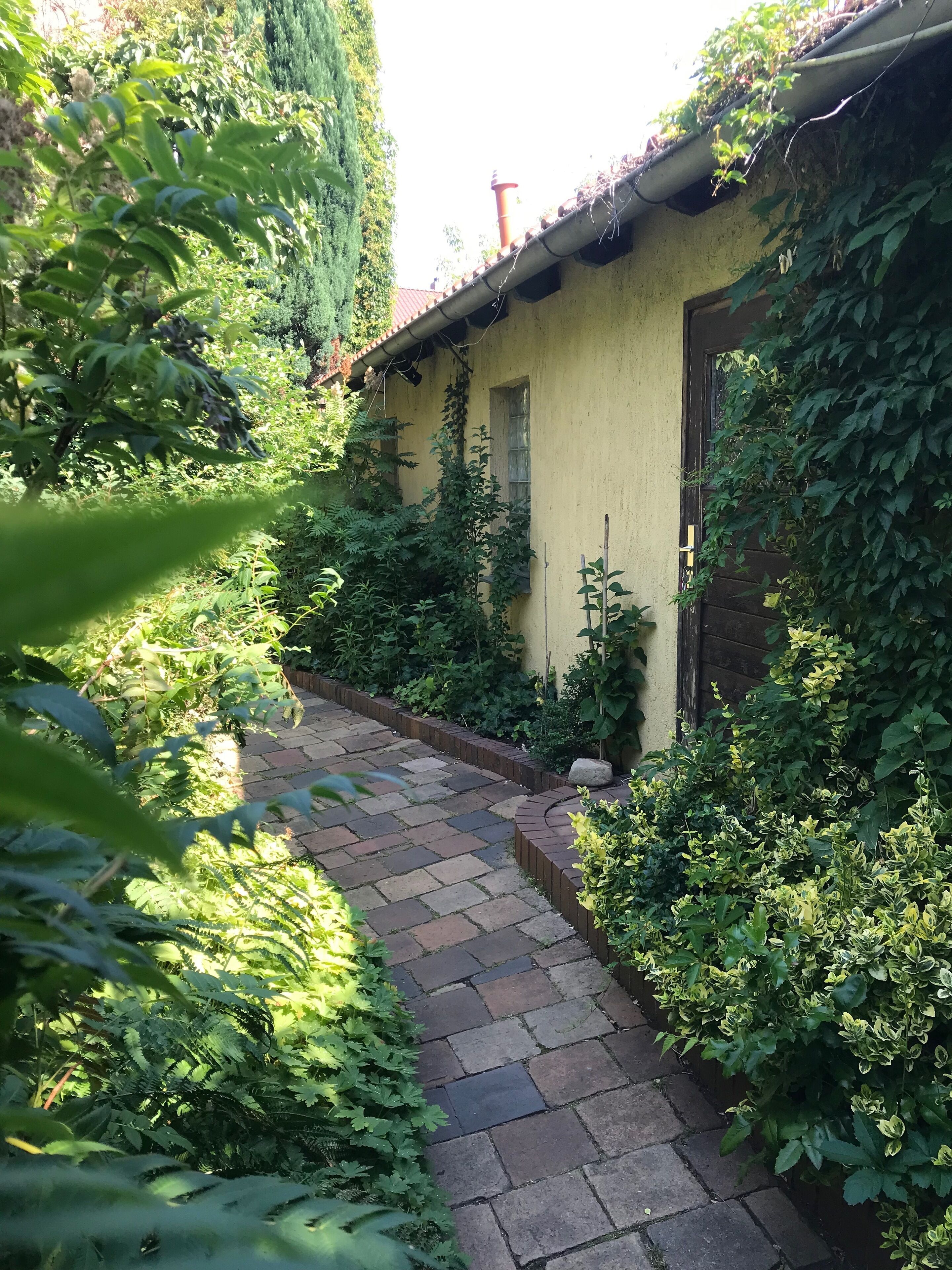 Un camino de piedra que conduce a un edificio amarillo con una ventana y una puerta, rodeado de abundante vegetación y enredaderas.