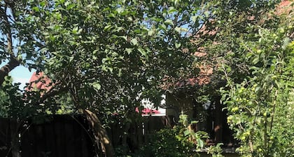Gartenhaus im LĂŒbbenauer Gurkenviertel