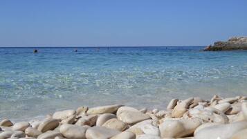 Playa en los alrededores y camastros
