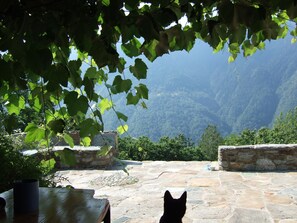 Property grounds - Lovingly restored traditional house at the fringe of an ancient village (Localita Valleggia, Comune di Montescheno)