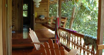 The house is in the middle of Jungle but also 5 minutes walk from the beach
