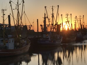 A harbor at sunset with several fishing boats docked.