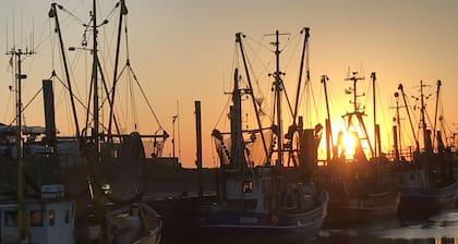 Talo "NordSeeStern", omakotitalo, aivan Pohjanmeren padolla takalla