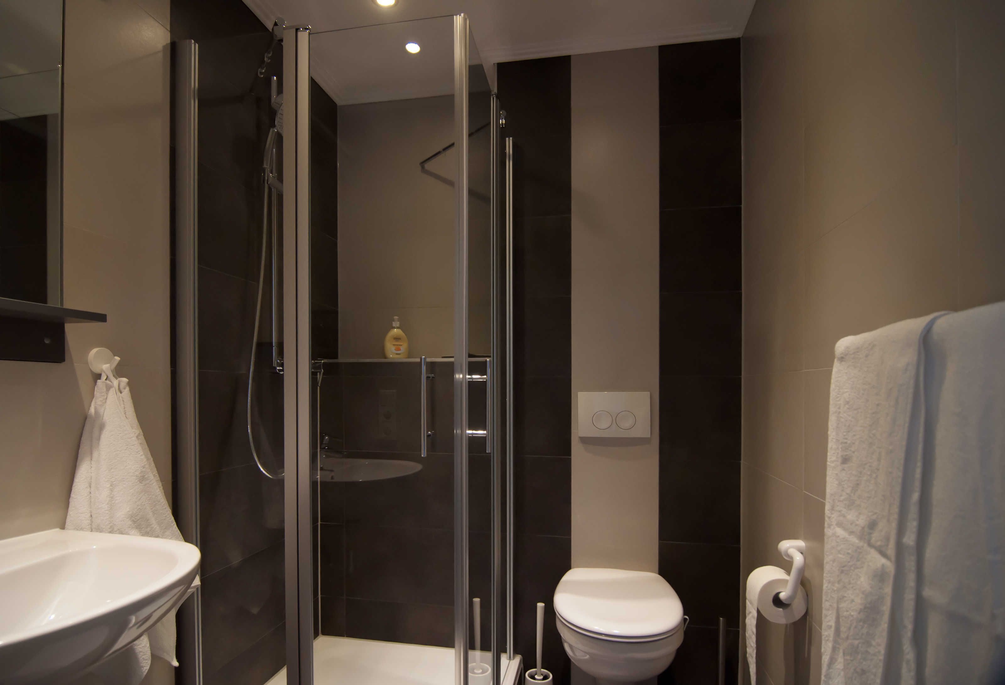 Un baño moderno con ducha de vidrio, lavamanos blanco y un inodoro.