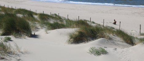 Nära stranden