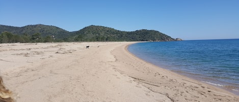靠近海滩、沙滩椅