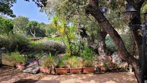 Un jardín con plantas en macetas, un banco de madera y un farol.