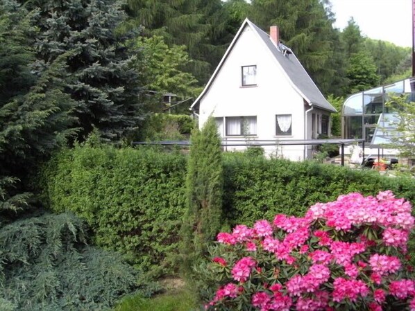 Une maison blanche avec un toit triangulaire, entourée de haies verdoyantes et denses et d’un arbuste aux fleurs roses.